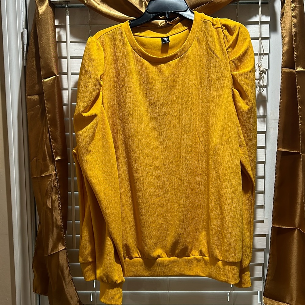 Shein Curve Balloon Sleeve Blouse